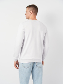 Світшот Роза модель 210542_light_gray Фото