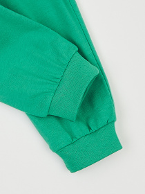 Джоггеры KRAKO модель НФ-00001369 Фото