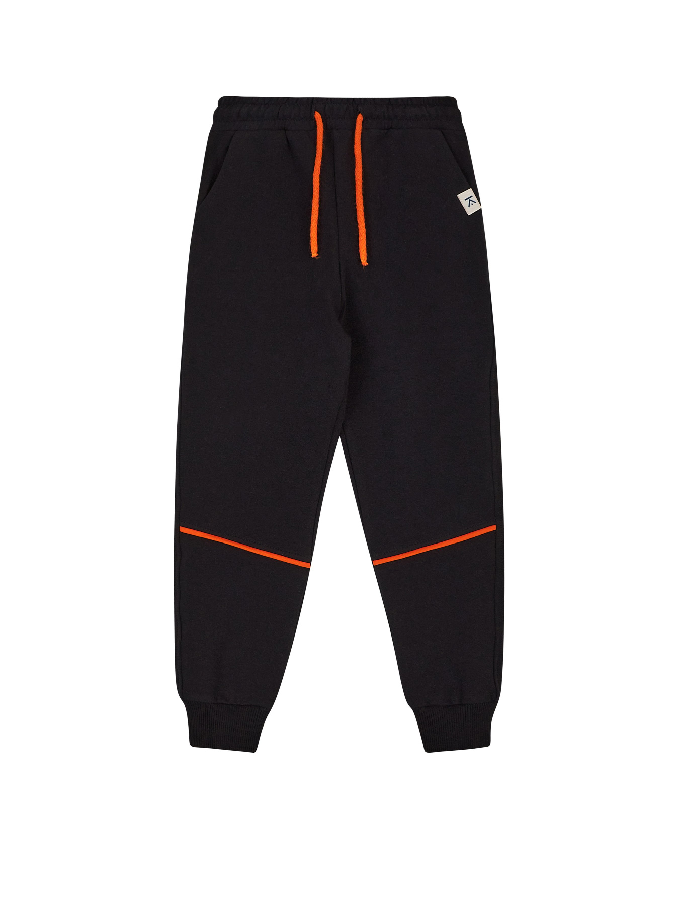 Джоггеры KRAKO модель НФ-00001384 Фото