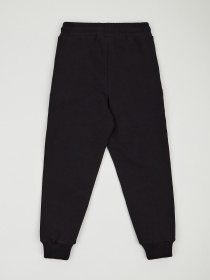 Джоггеры KRAKO модель НФ-00001384 Фото