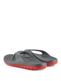 Вьетнамки COQUI модель 7901Dk.grey_Red Фото