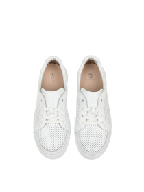 Кеды низкие Alex Bell модель 1171968 Фото