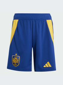 Шорты спортивные Adidas модель IW8149 Шорты спортивные Adidas модель IW8149 Фото