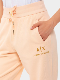 Брюки Armani Exchange модель 3DYPAG-YJ68Z-14BD Фото