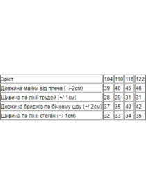 Повседневный костюм Носи своє модель 618657-temna-bryuza Фото