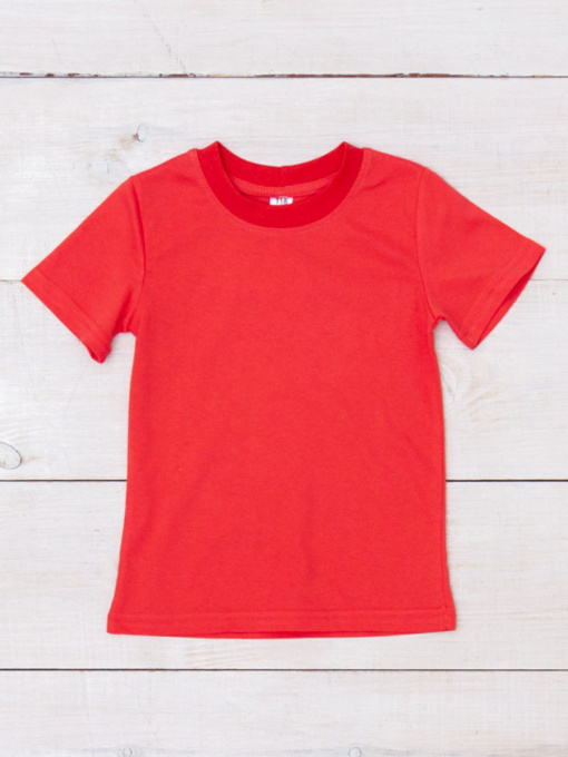 Футболка Носи своє модель 6021-001v-siciljsxkij-apelxsin Фото