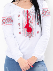 Вишита сорочка Носи своє Модель 8607-038-22-chervonij Фото