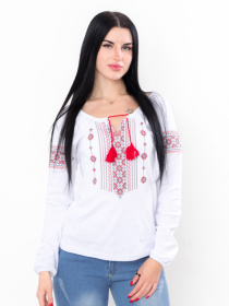 Вышитая рубашка Носи своє модель 8607-038-22-chervonij Фото