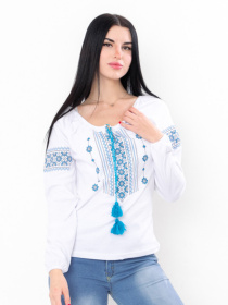 Вишита сорочка Носи своє модель 8607-038-22-blakitnij Фото
