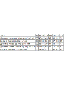 Спортивный костюм Носи своє модель 6018-057-33-5-sakura-kvti Спортивный костюм Носи своє модель 6018-057-33-5-sakura-kvti Фото