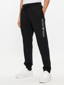Брюки Emporio Armani модель 111690-4R566-00020 Фото
