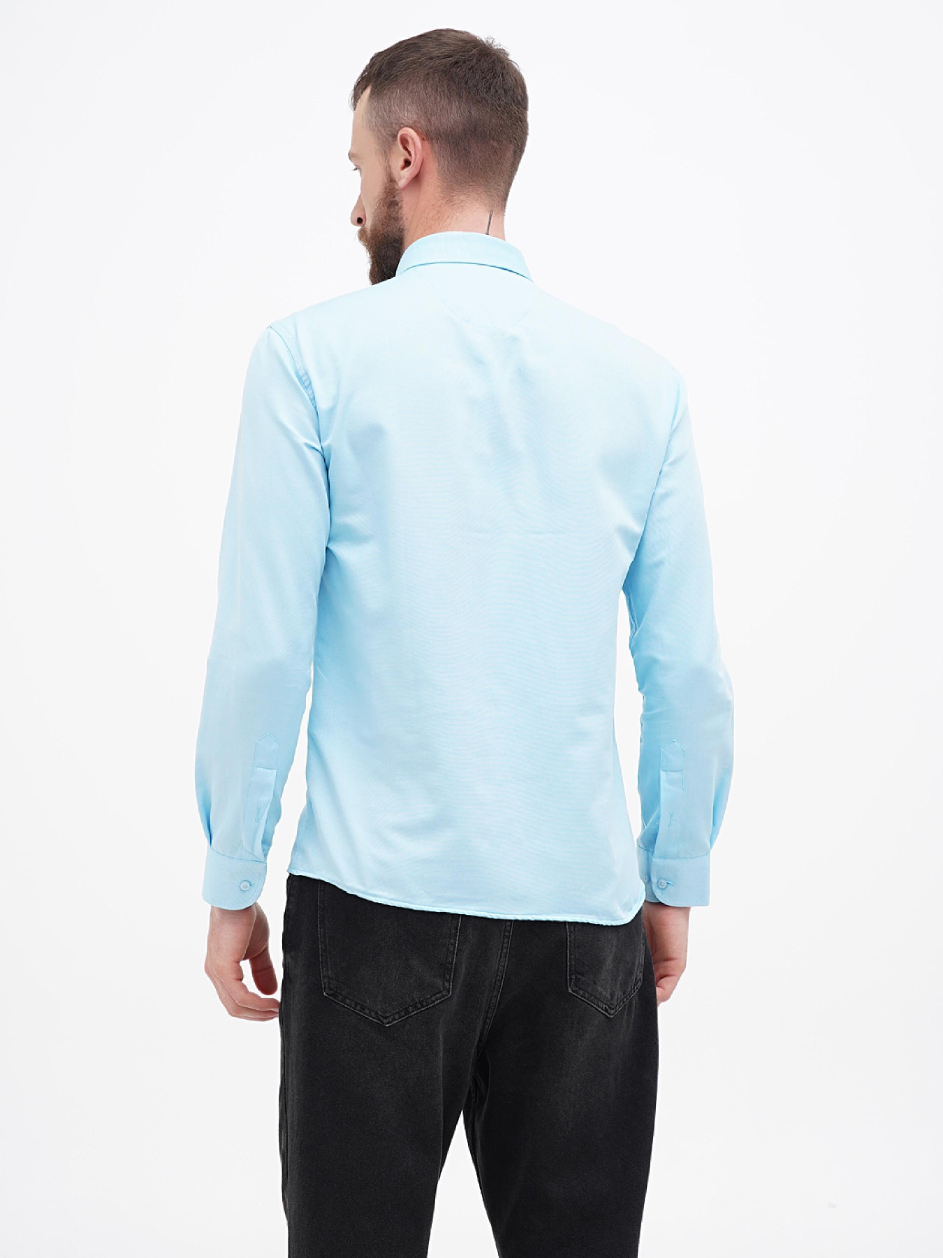 Сорочка US Polo Модель USPA.1270000-1.VR090 Фото