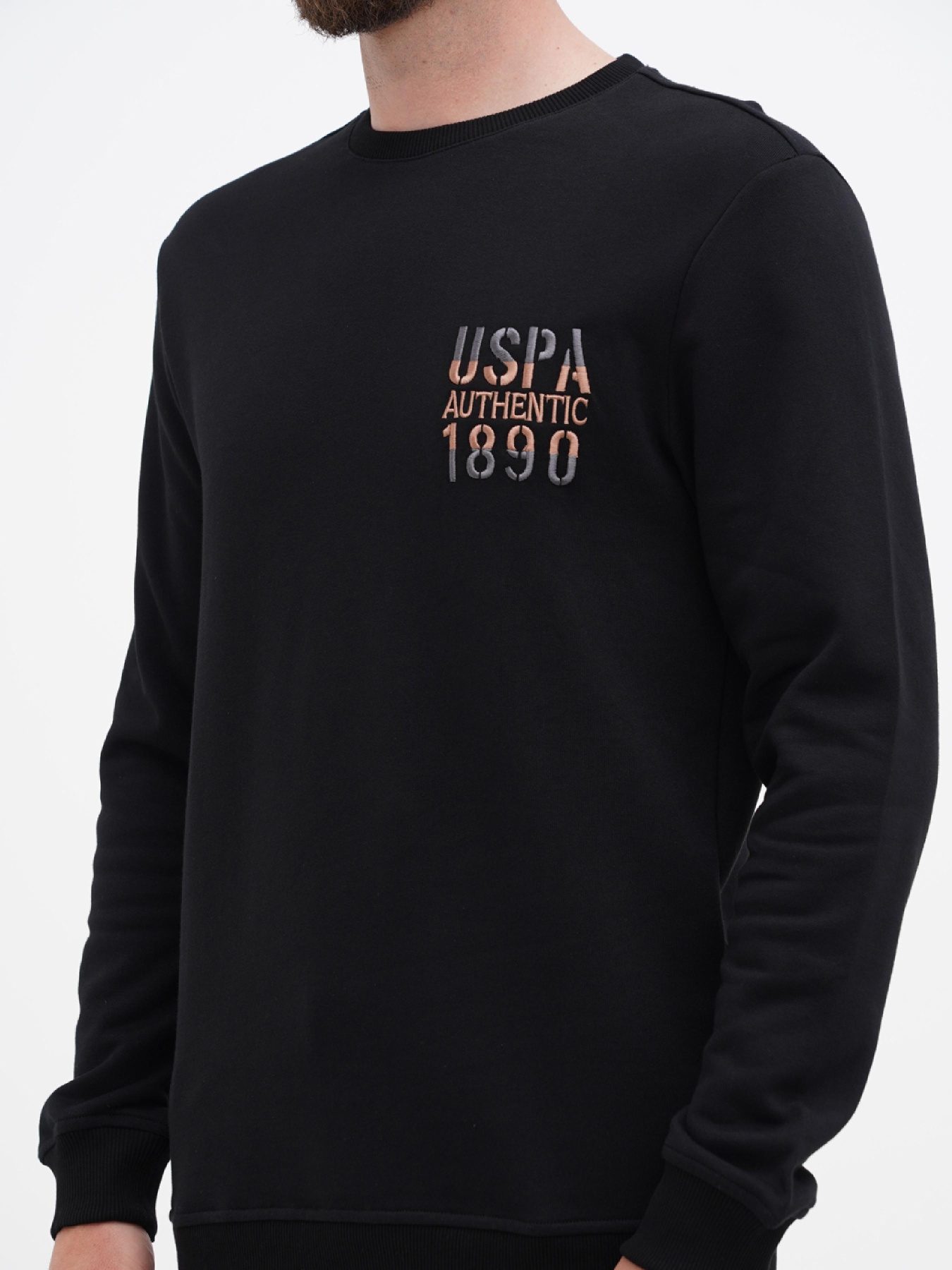 Свитшот US Polo модель USPA.1298619.VR046 Фото