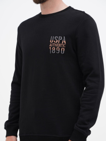 Свитшот US Polo модель USPA.1298619.VR046 Фото