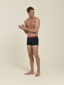 Набір трусів US Polo модель US.01.80253.VR033 Фото