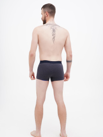 Набір трусів US Polo модель USPA.80307.VR036 Фото