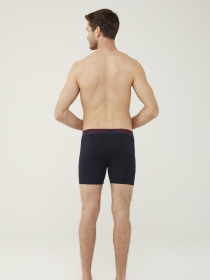 Набір трусів US Polo модель US.01.80454.VR171 Фото