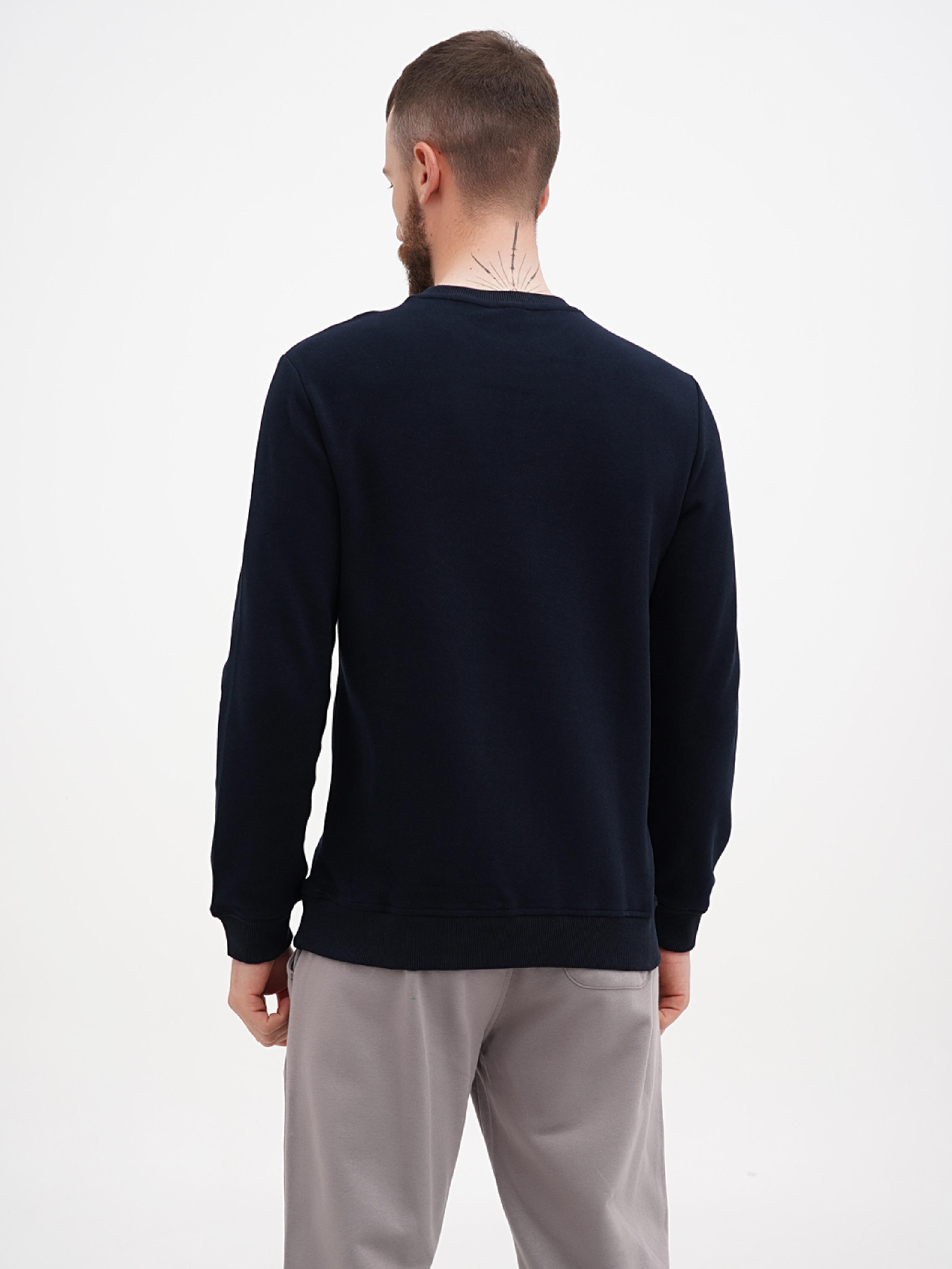 Світшот US Polo модель USPA.1630000.VR033 Фото