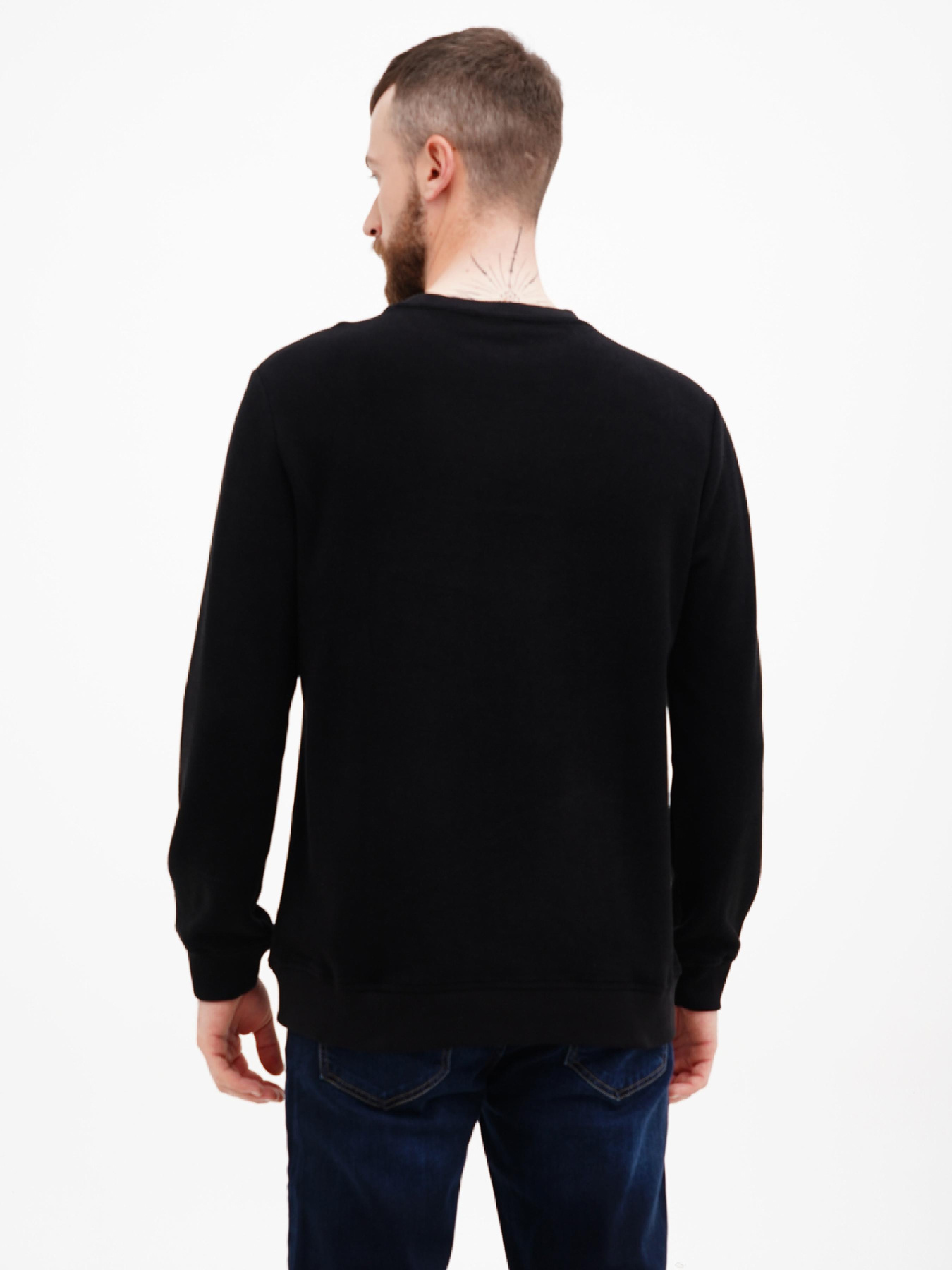 Світшот US Polo модель USPA.1630000.VR046 Фото