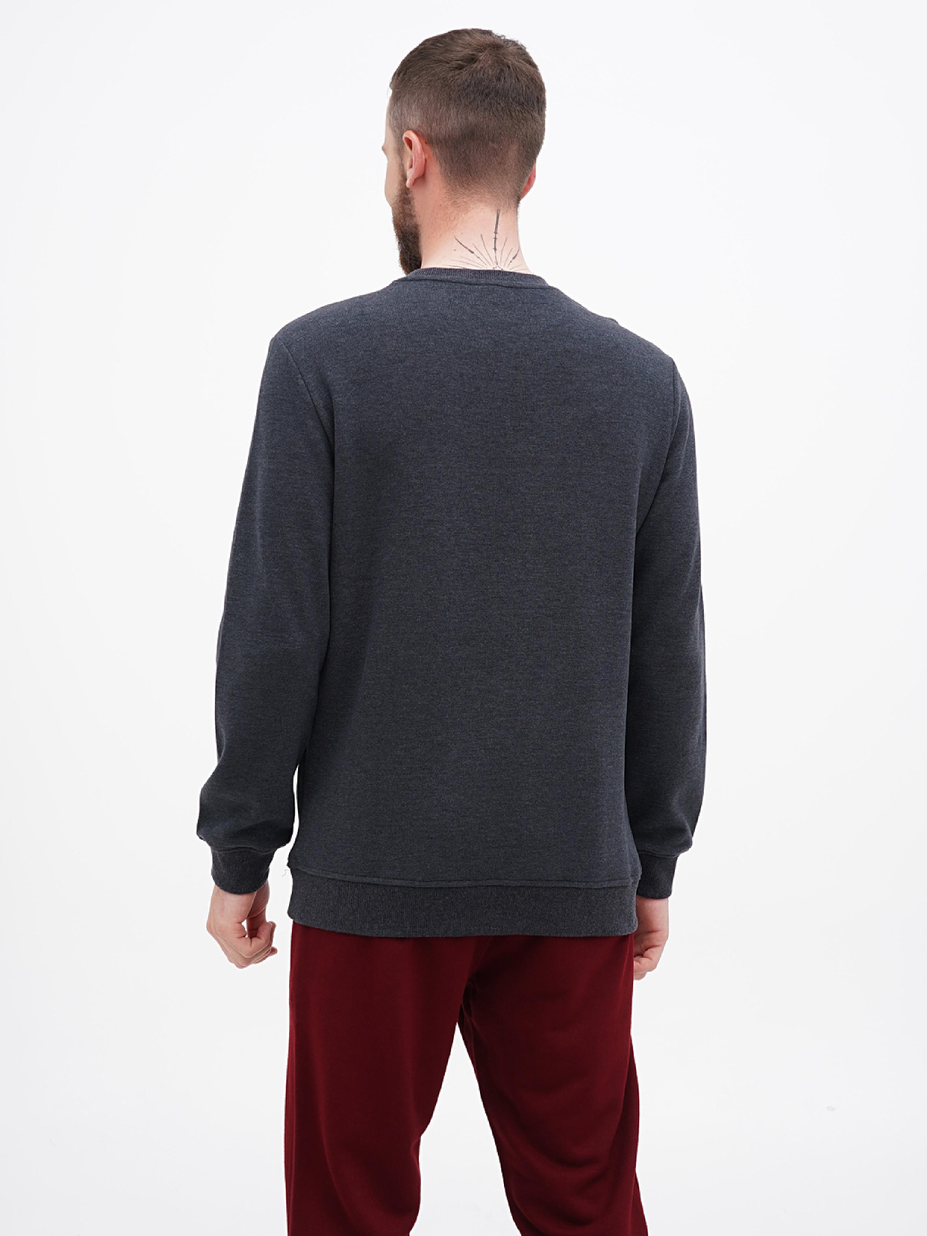 Свитшот US Polo модель USPA.1630000.VR081 Фото