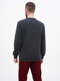 Свитшот US Polo модель USPA.1630000.VR081 Фото