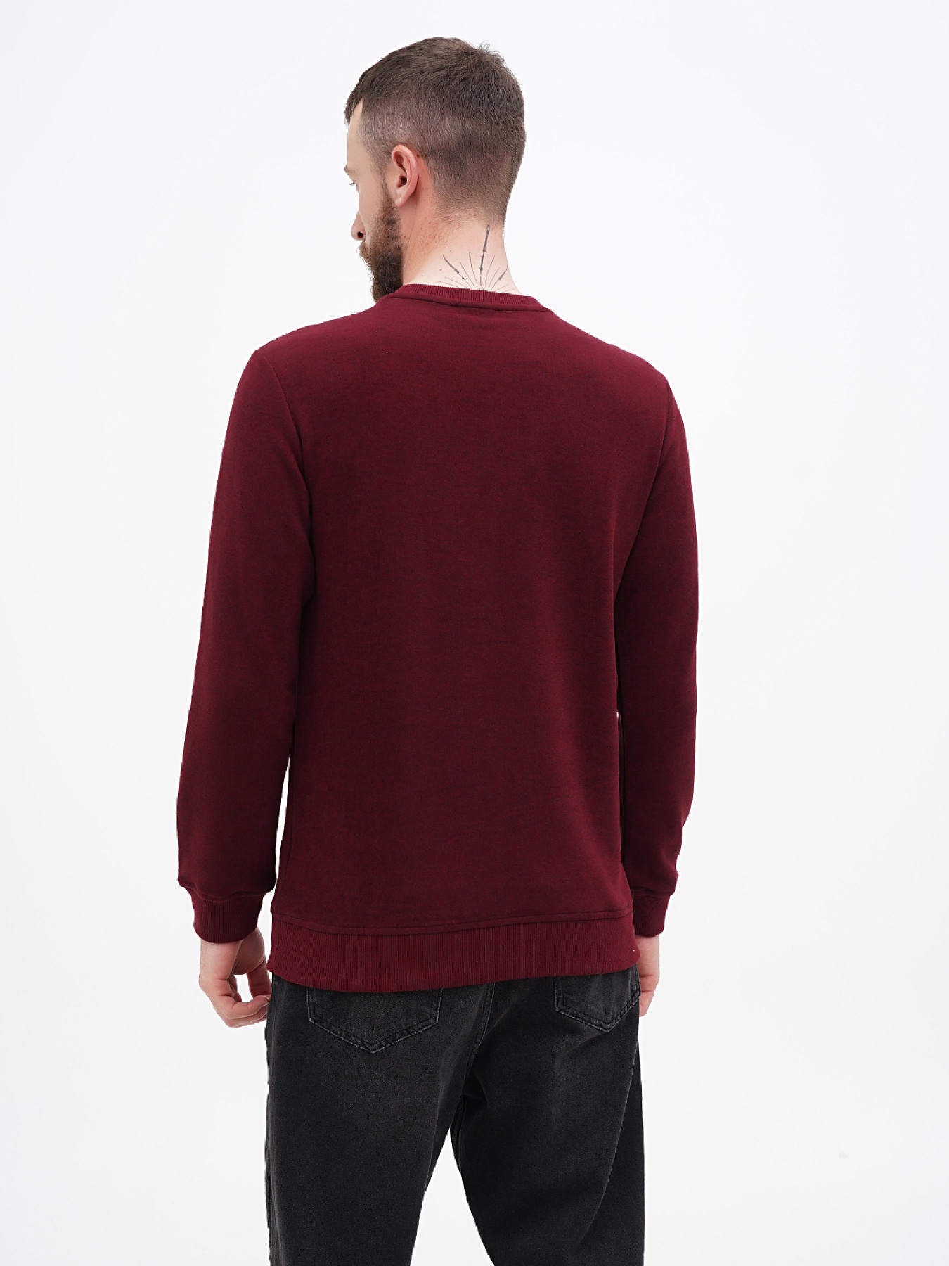 Свитшот US Polo модель USPA.1630000.VR223 Фото