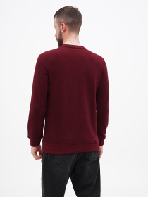 Свитшот US Polo модель USPA.1630000.VR223 Фото