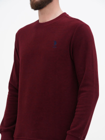 Свитшот US Polo модель USPA.1630000.VR223 Фото