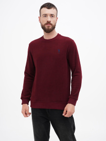 Свитшот US Polo модель USPA.1630000.VR223 Фото