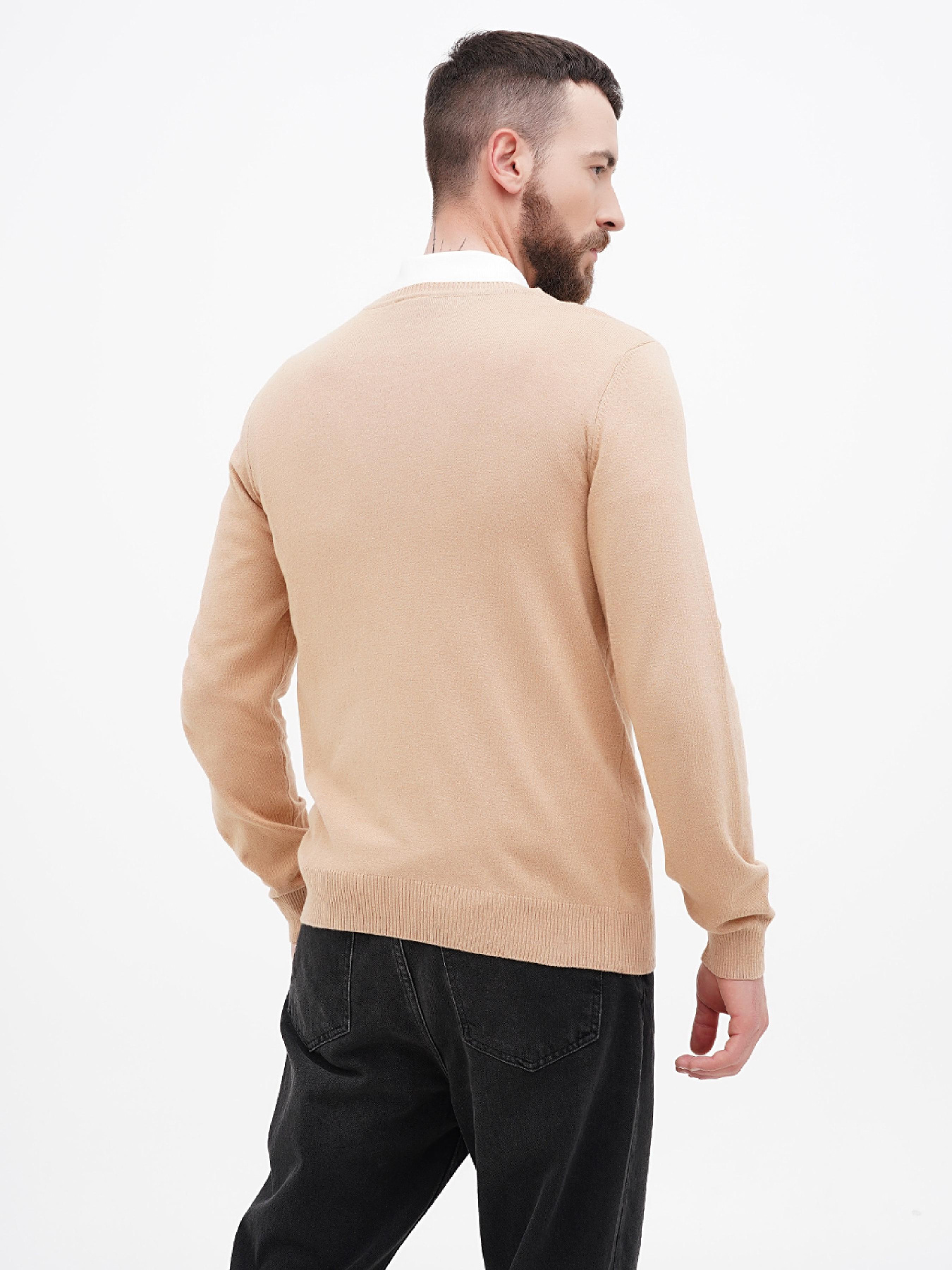 Джемпер US Polo модель USPA.1629650.VR123 Фото