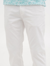 Повсякденні штани US Polo модель USPA.1827278.VR013 Фото