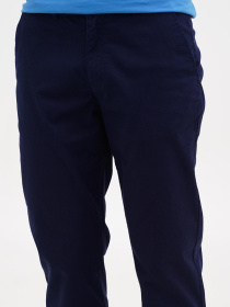 Повсякденні штани US Polo модель USPA.1827278.VR033 Фото