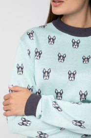 Джемпер Sewel модель JS736392400 Фото