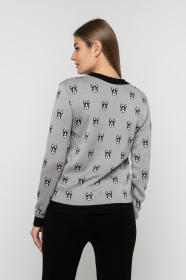 Джемпер Sewel модель JS736190100 Фото