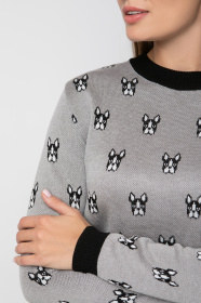 Джемпер Sewel модель JS736190100 Фото