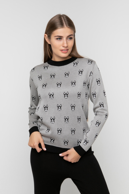 Джемпер Sewel модель JS736190100 Фото