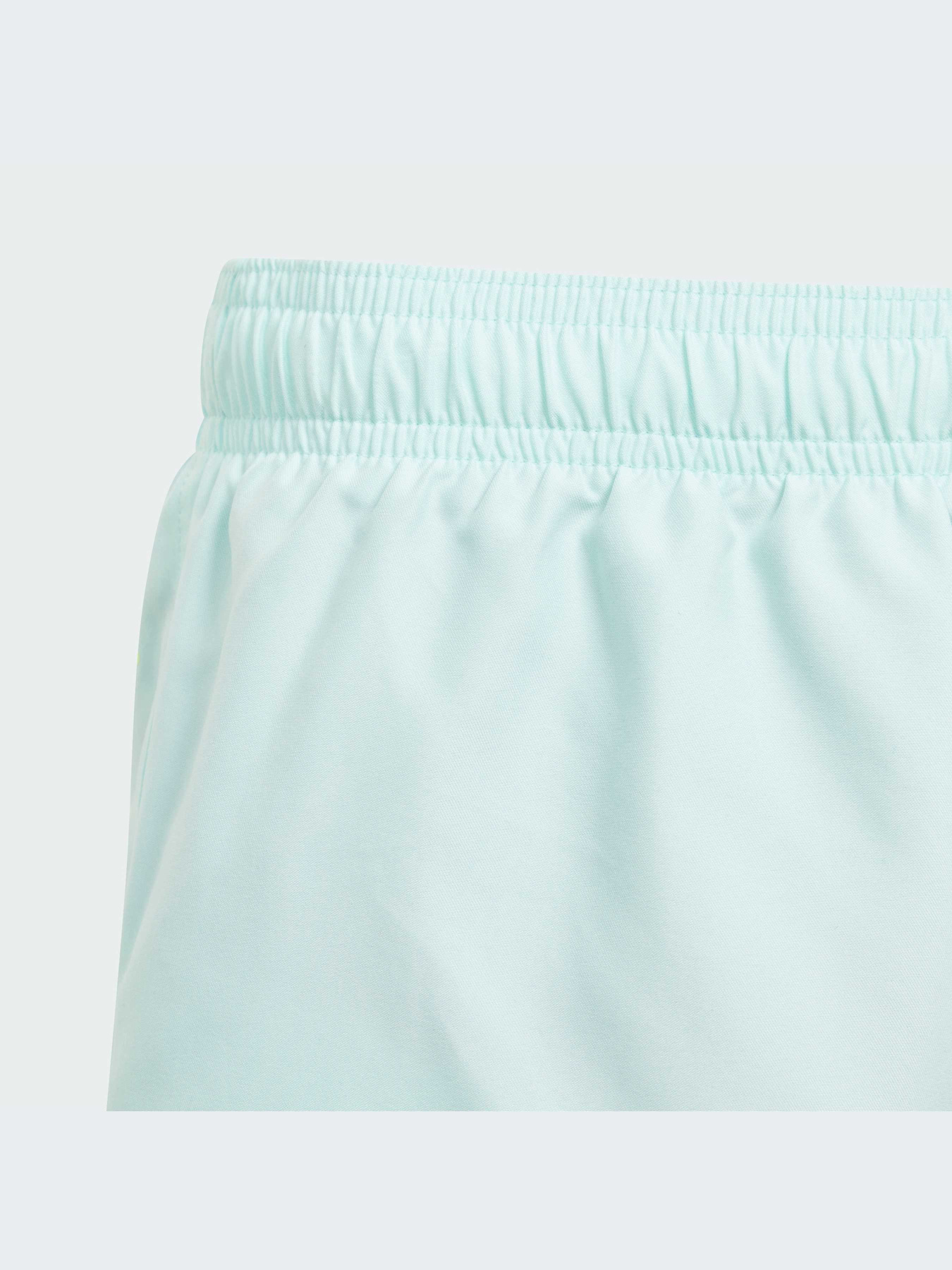 Шорти для плавання Adidas модель IP1583 Фото