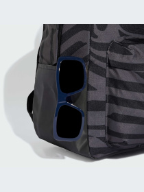 Рюкзак Adidas модель IS3788 Фото