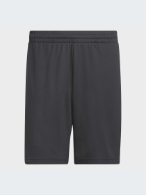 Шорты спортивные Adidas модель IL2257 Фото