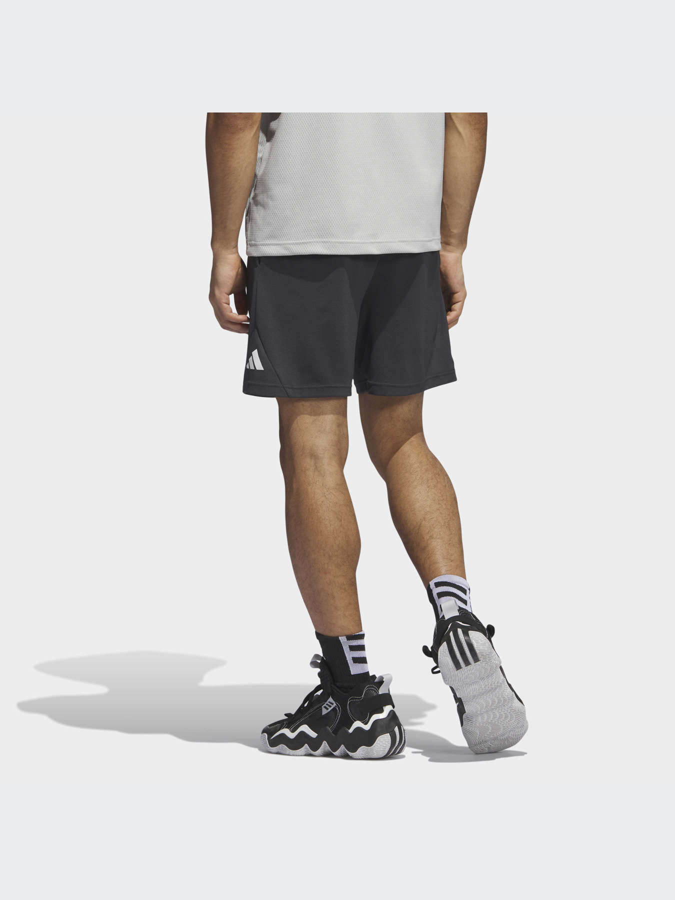 Шорты спортивные Adidas модель IL2257 Фото