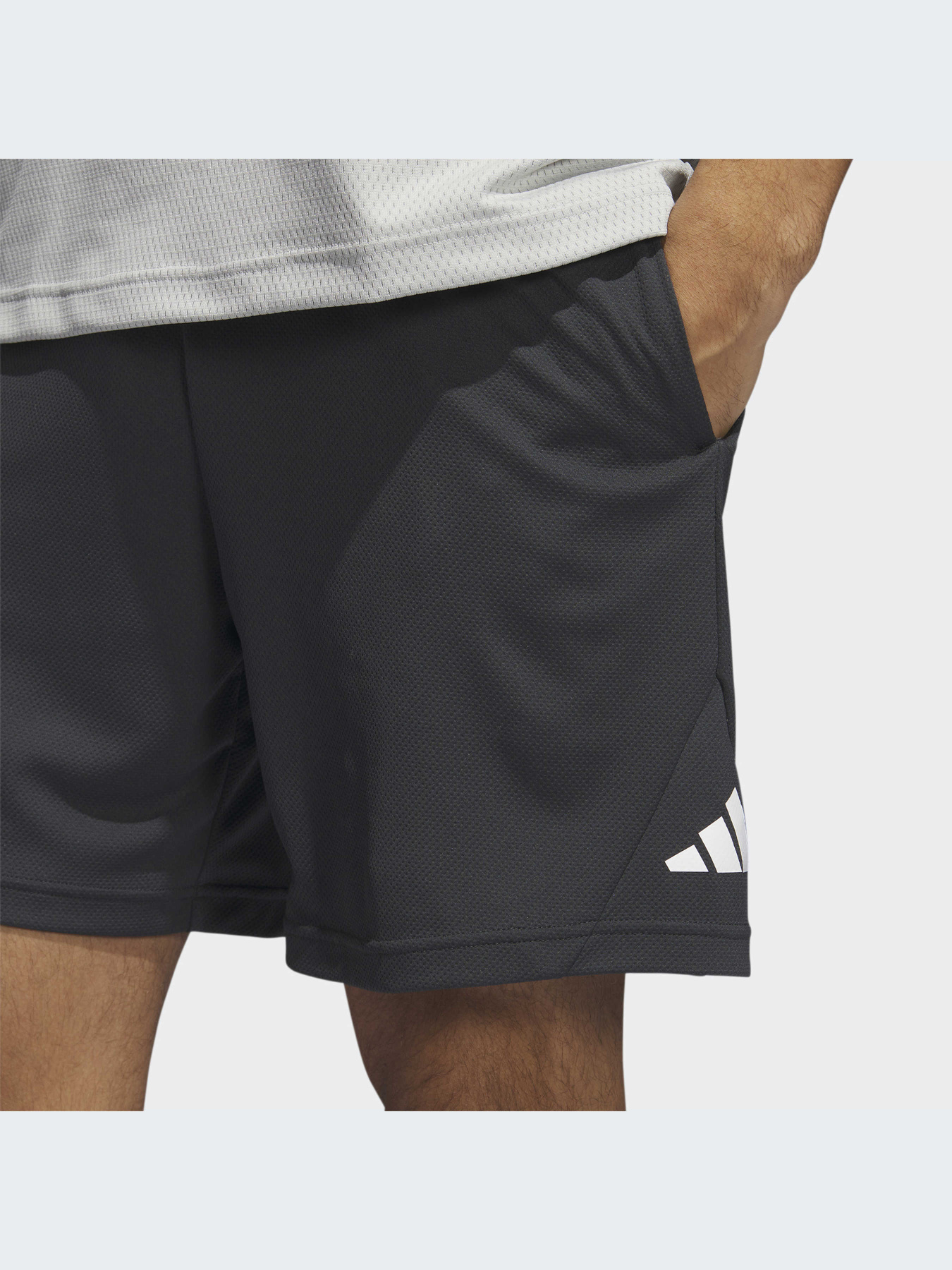 Шорты спортивные Adidas модель IL2257 Фото