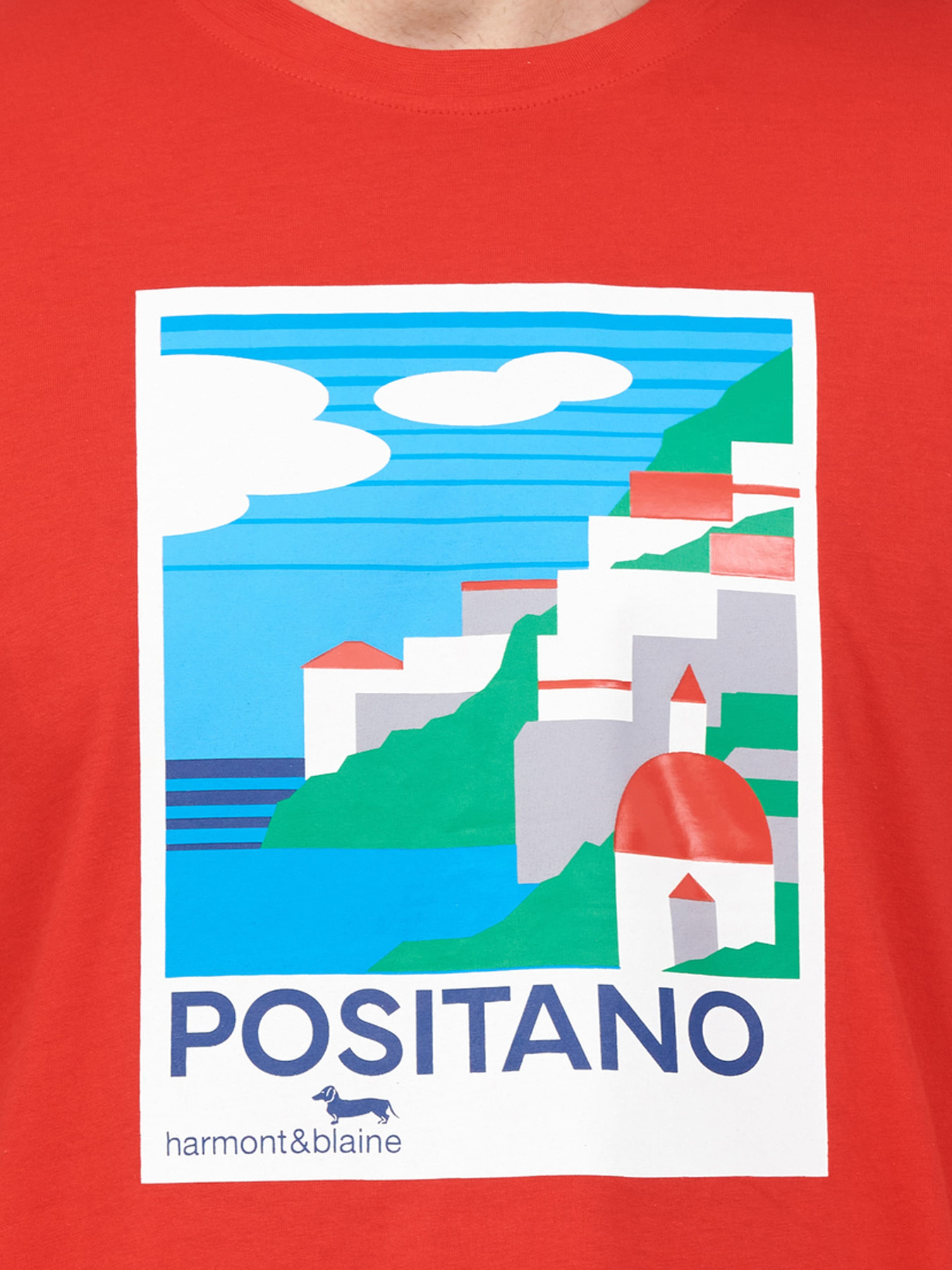 Футболка Harmont&Blaine модель IRL233021055_510 Фото