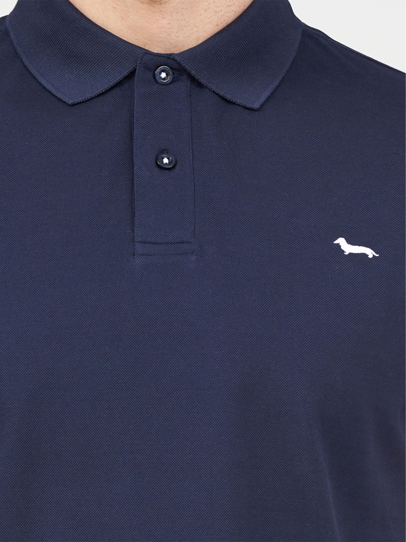 Поло Harmont&Blaine модель LRL030021148_801 Фото