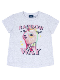 Футболка Chicco модель 090.05521.091 Фото