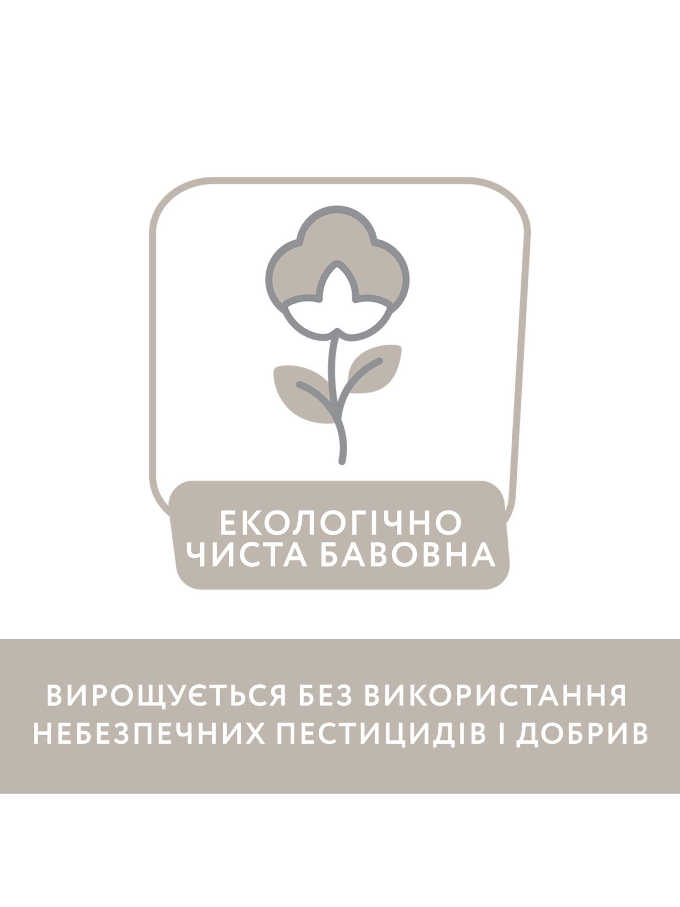 Штаны спортивные Chicco модель 090.08988.018 Фото