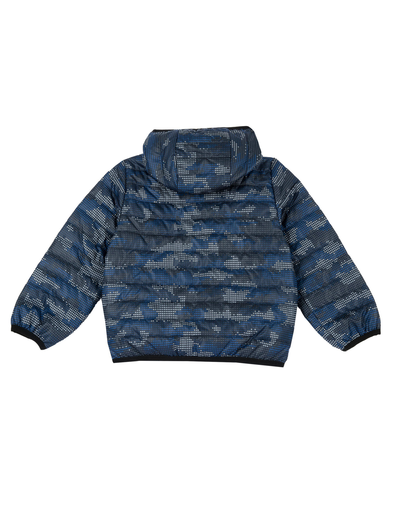 Демисезонная куртка Chicco модель 090.87761.088 Фото