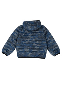 Демисезонная куртка Chicco модель 090.87761.088 Фото