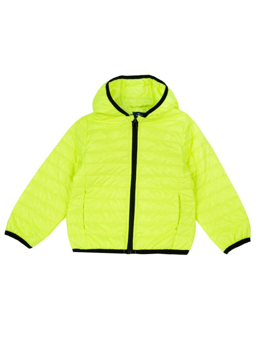 Демисезонная куртка Chicco модель 090.87760.040 Фото