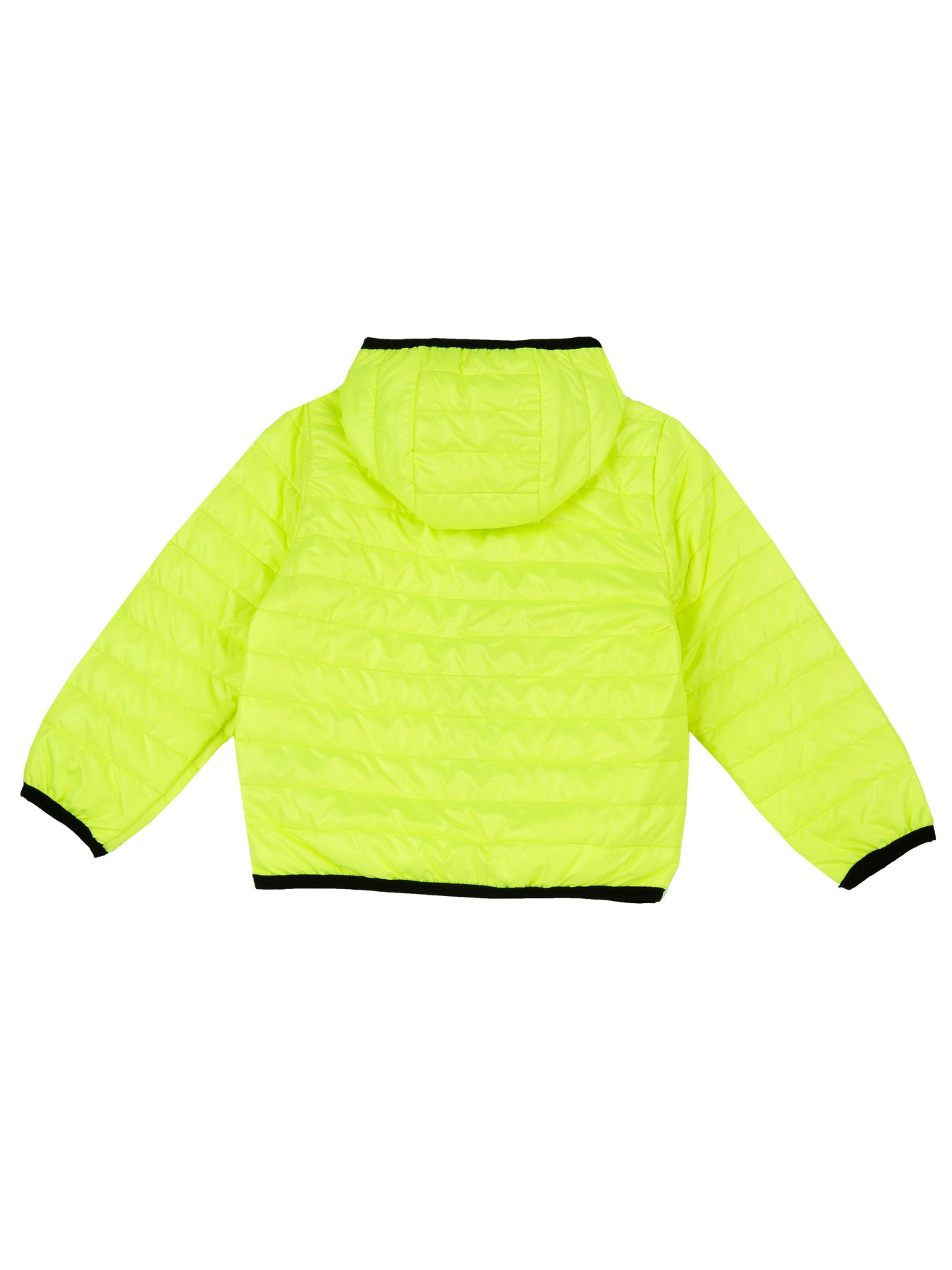 Демісезонна куртка Chicco модель 090.87760.040 Фото