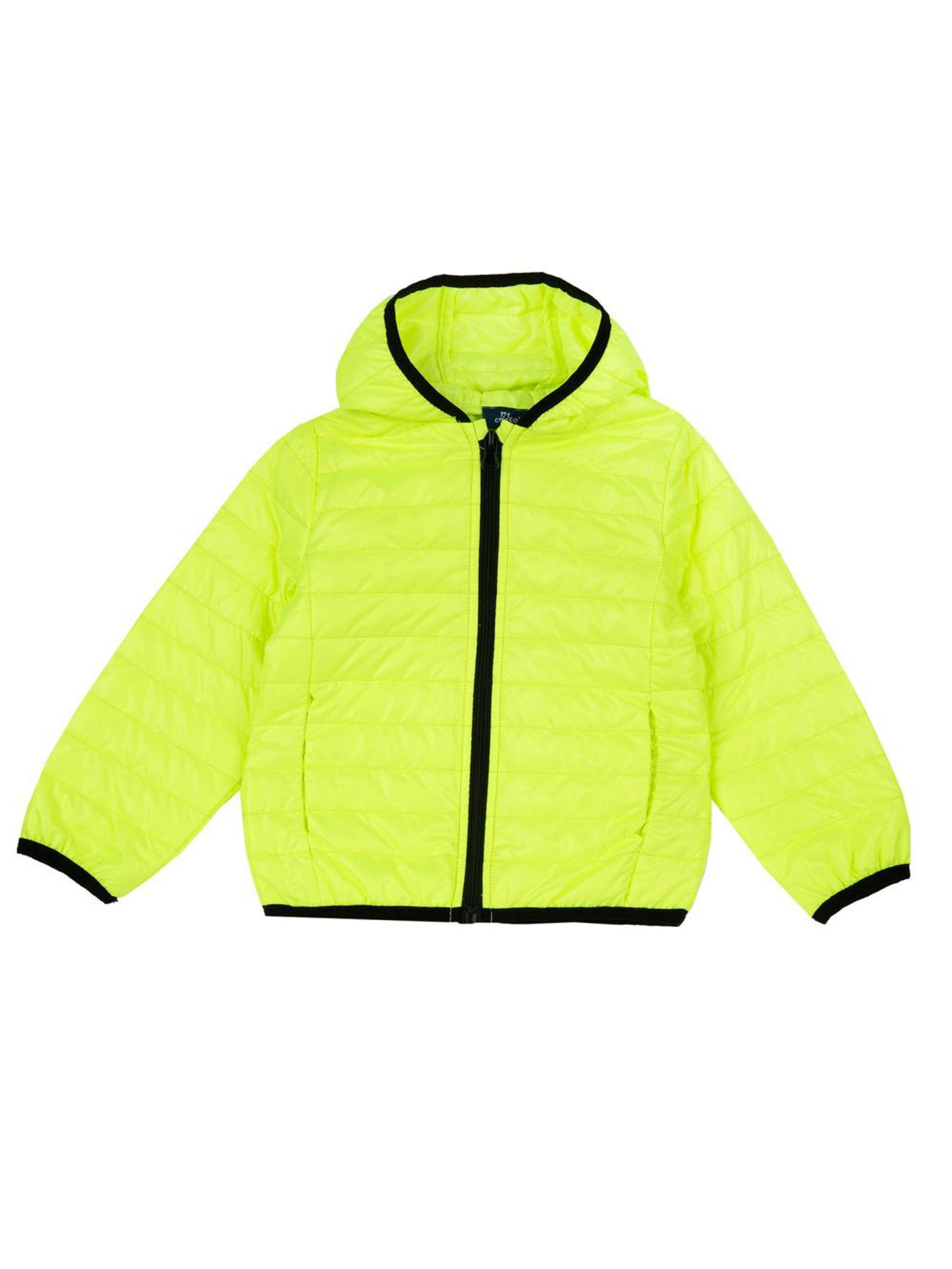 Демісезонна куртка Chicco модель 090.87760.040 Фото